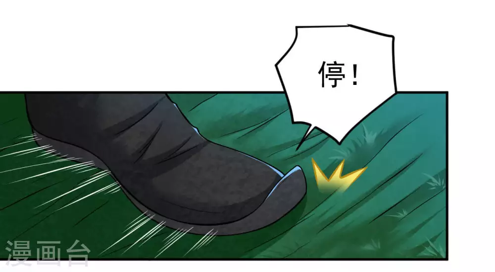第15话 神法境高手38