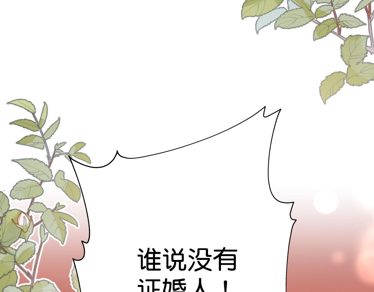 015 穷酸的婚礼101