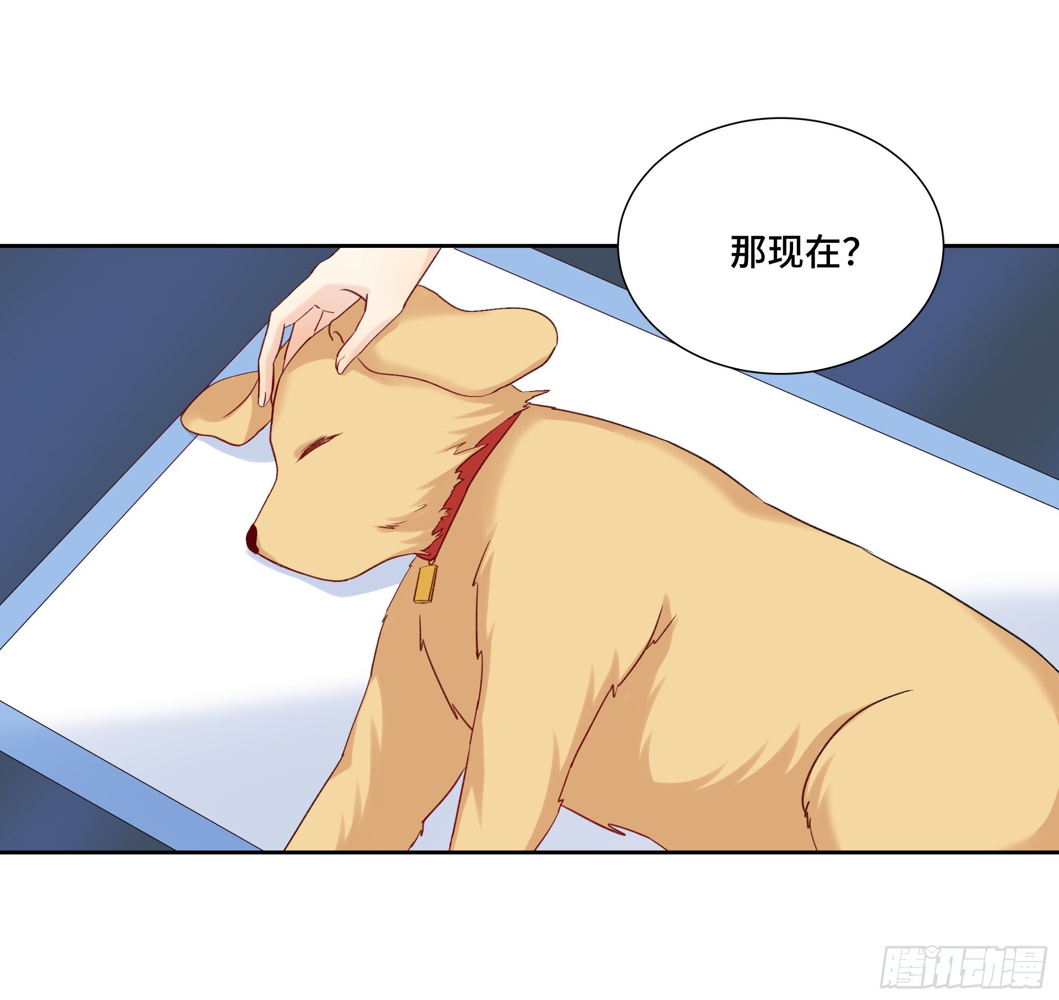 本能反应 第23话-意外19