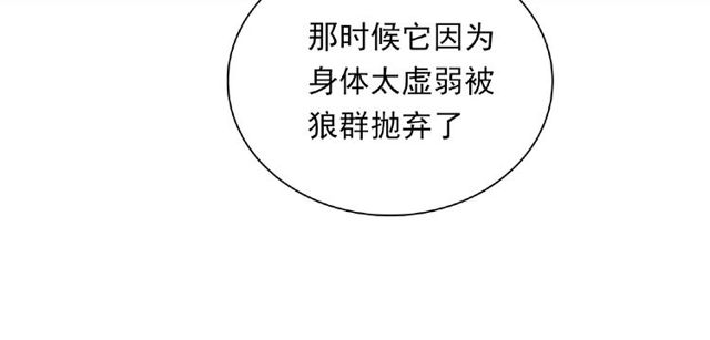 第88话 我们私奔吧75