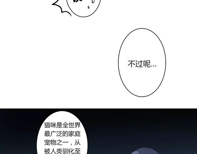 第65话 约会吧～29