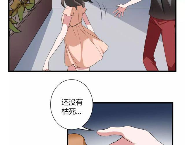 第43话 爱能让人自卑4