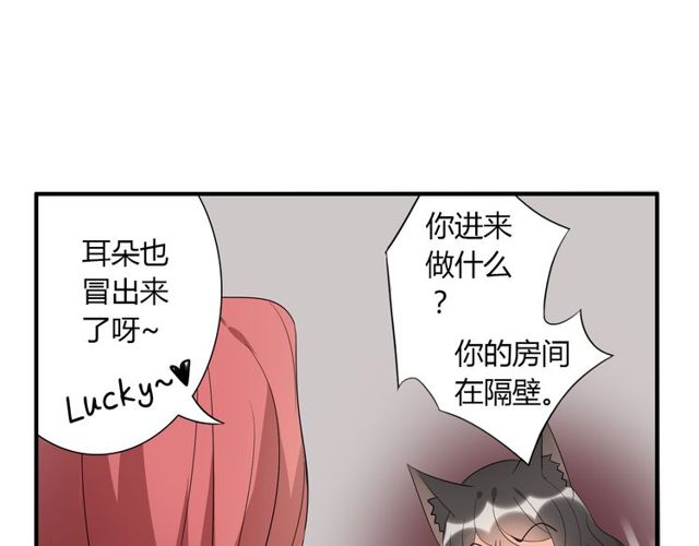 第14话 意外收获11