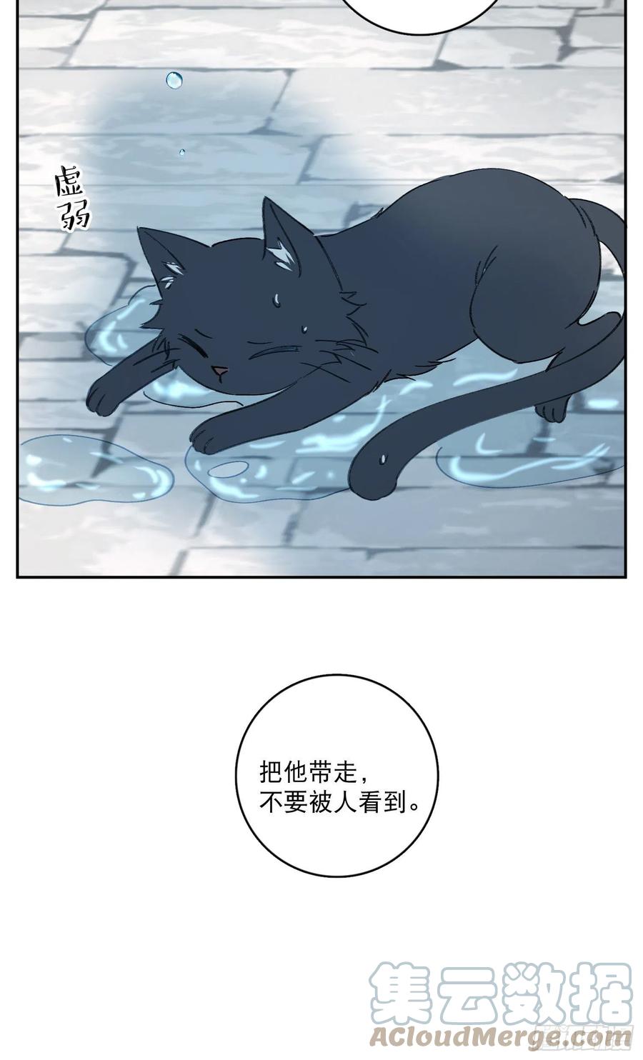第68话-“可爱的小猫咪”32
