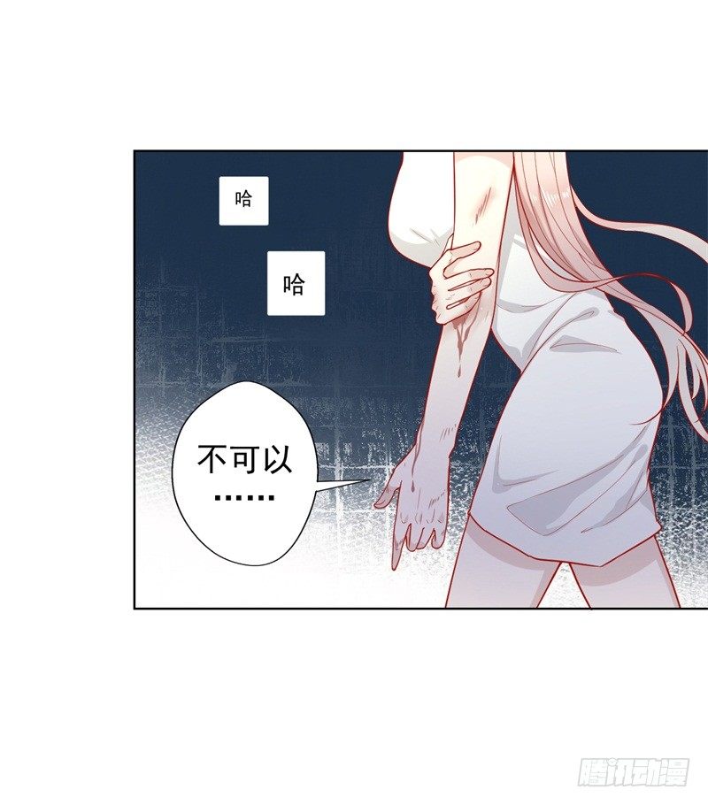第28话 只有我能当陆太太1
