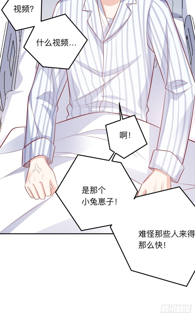 同类12