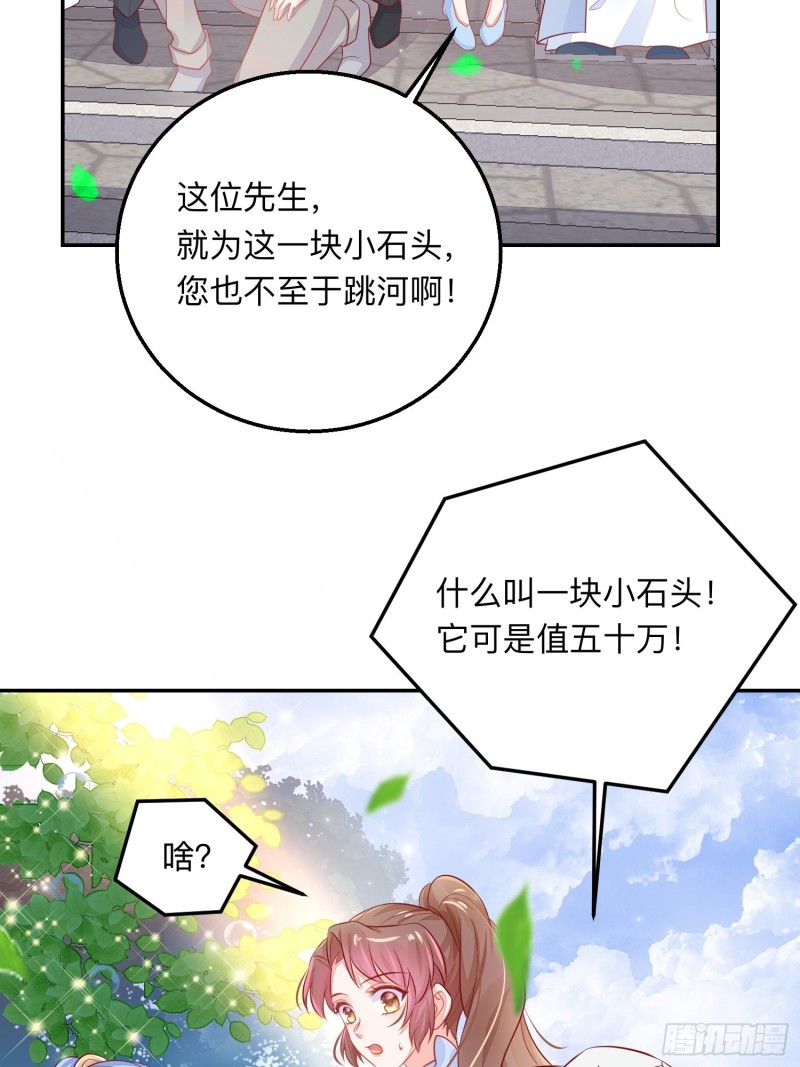 五十万的石头13