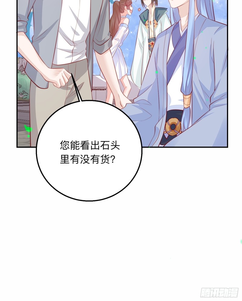 五十万的石头41