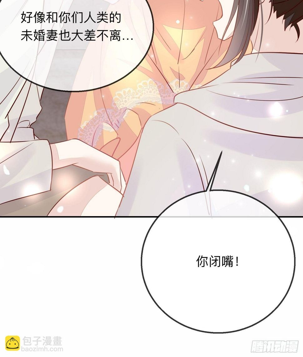 慕云的未婚妻46