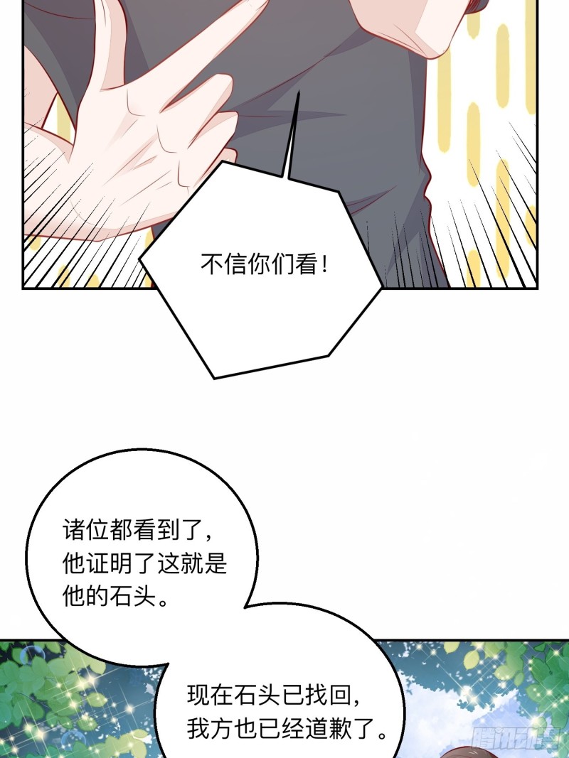 五十万的石头31