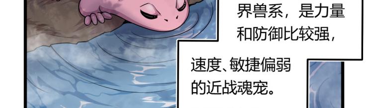 04 设陷阱，捕魂宠22