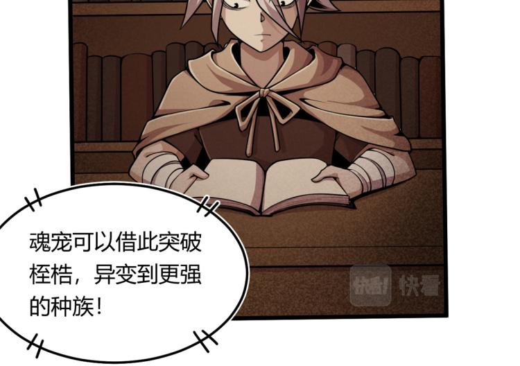 04 设陷阱，捕魂宠114