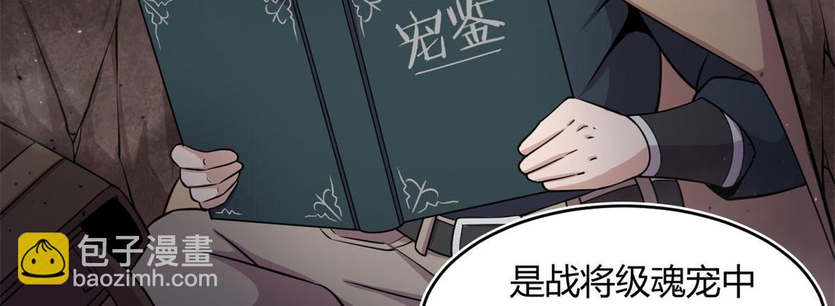 31	捕获新魂宠32