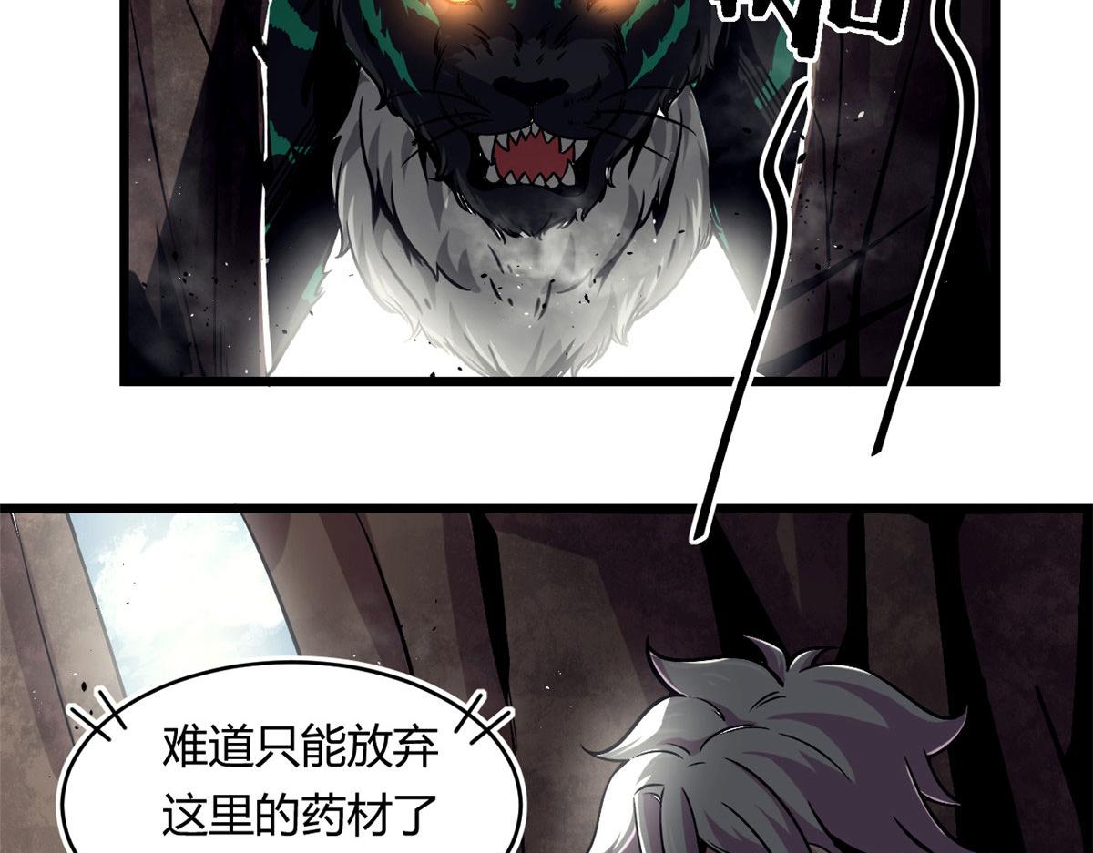 36 斑斓魔虎20