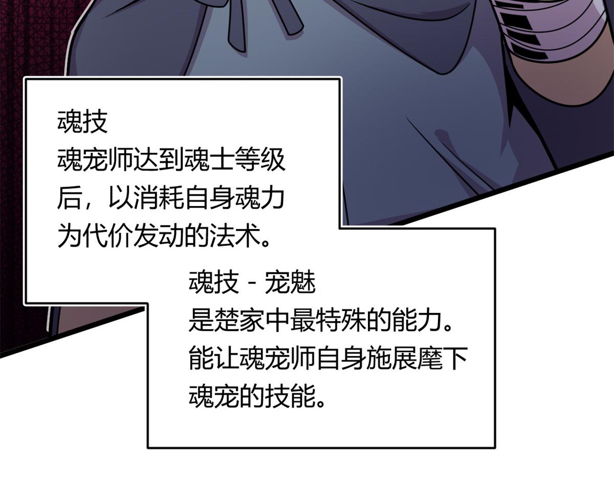 10 魂技—宠魅70