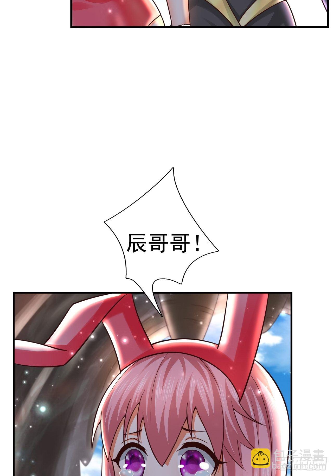 35 萌宠契约11