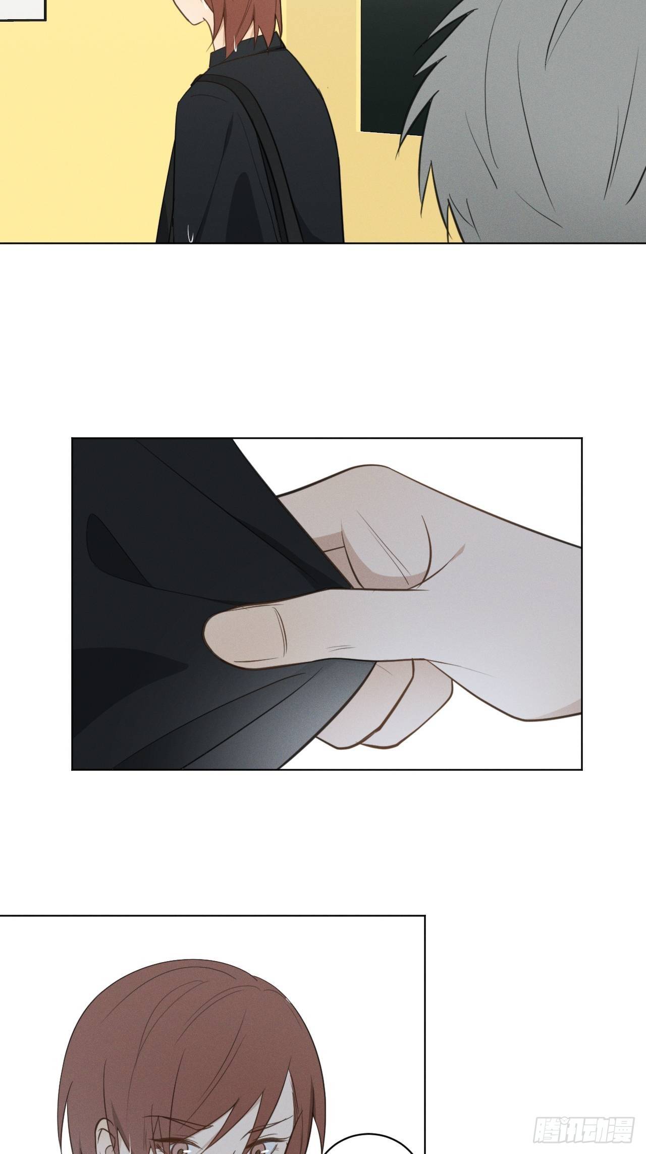 第57话 野猫驯服2