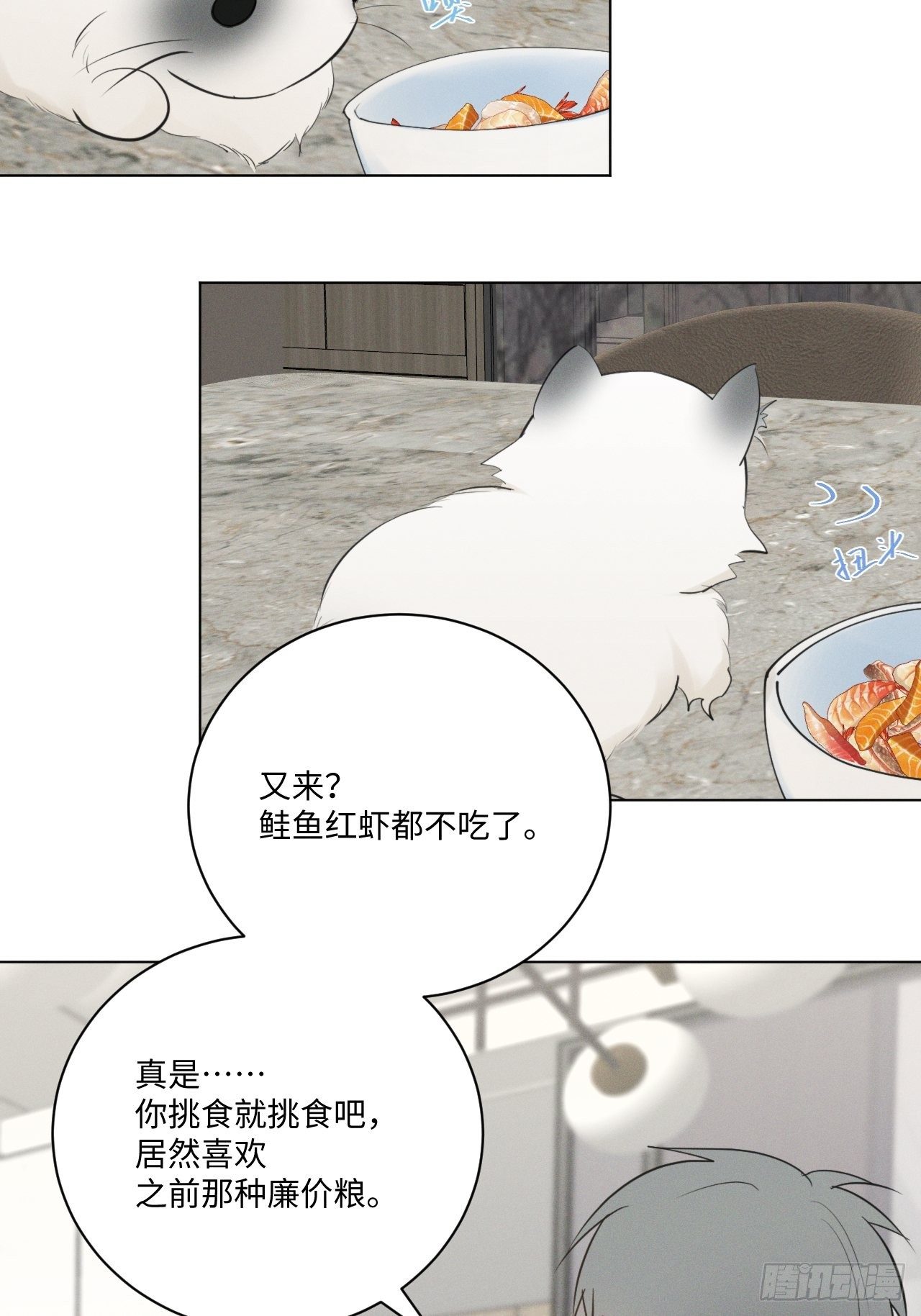 第57话 野猫驯服26