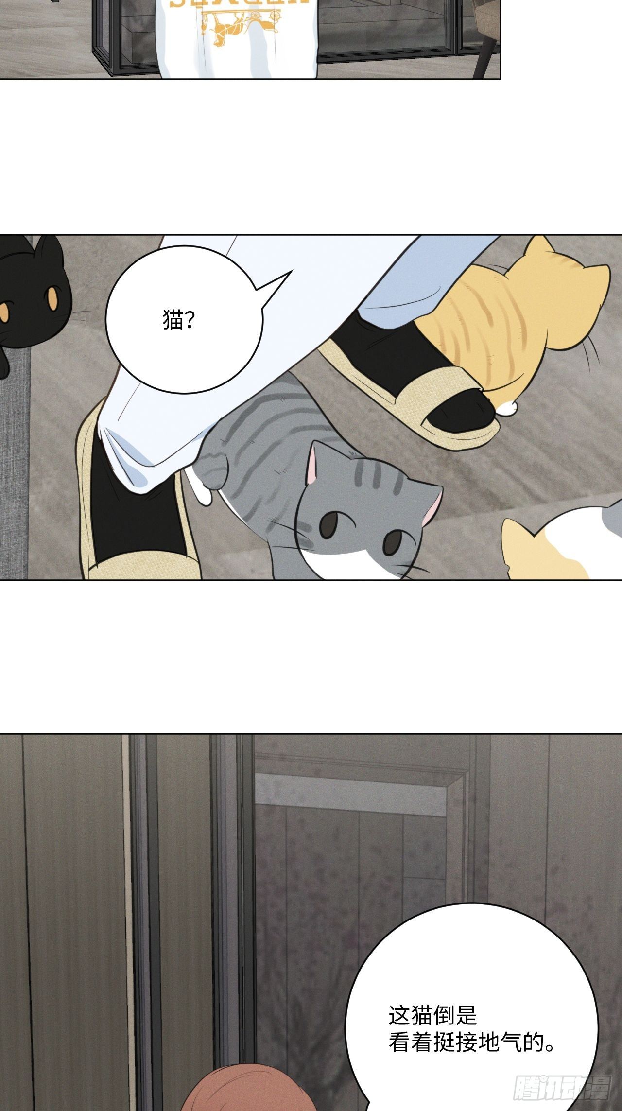 第57话 野猫驯服10