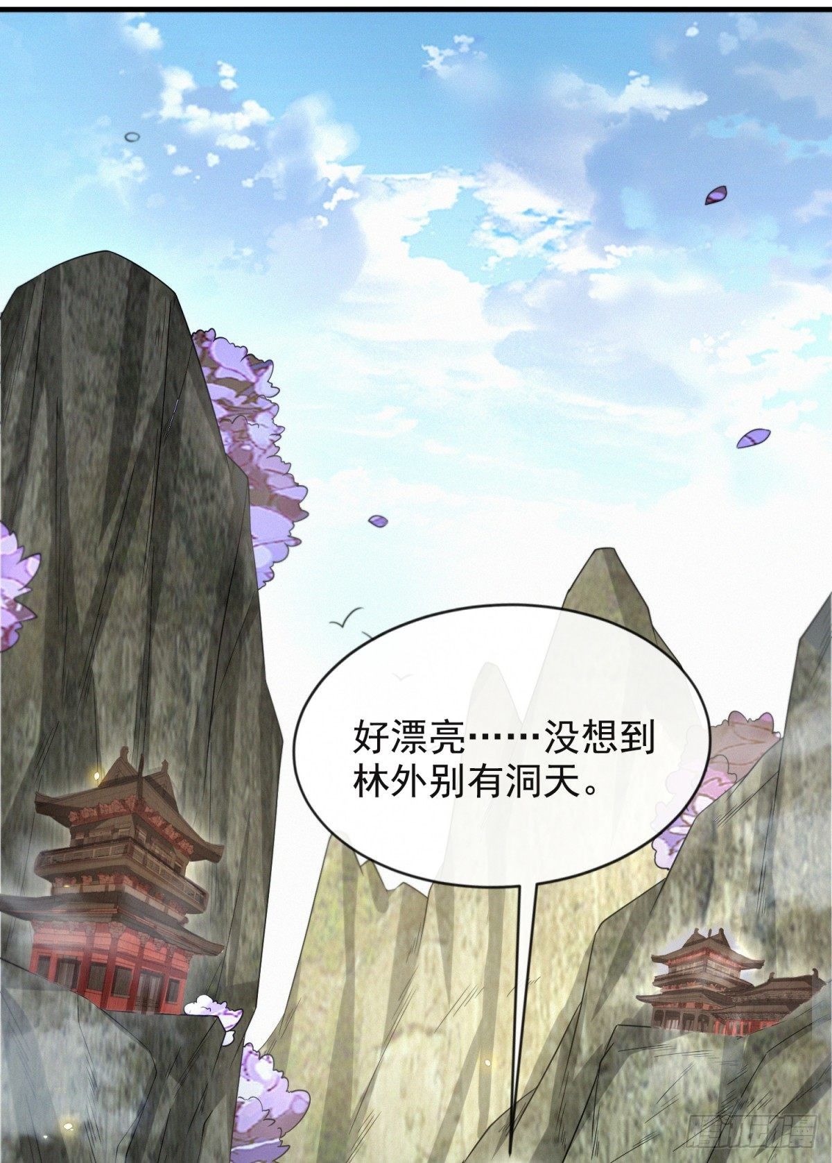 四大家族17
