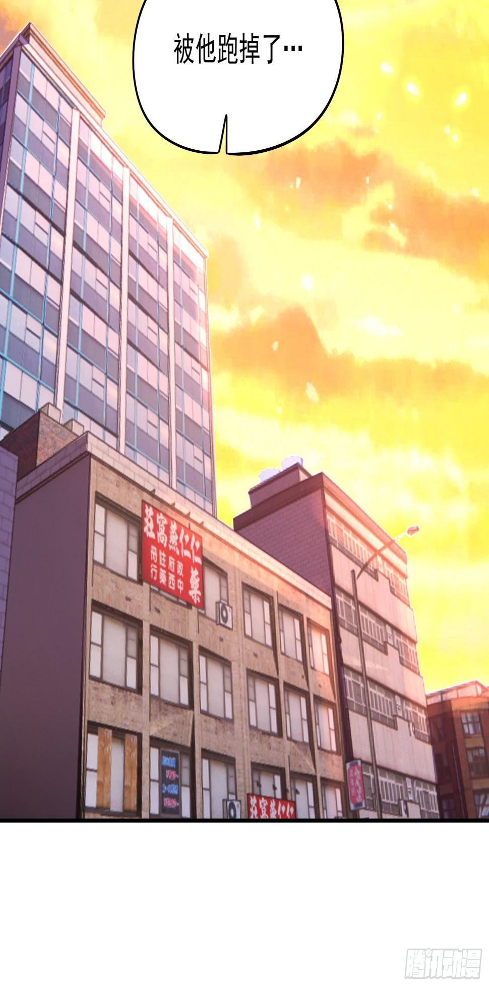 23.混血杂种11