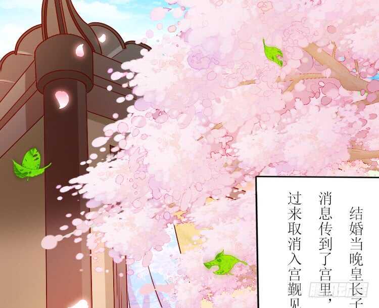019.想逃婚47