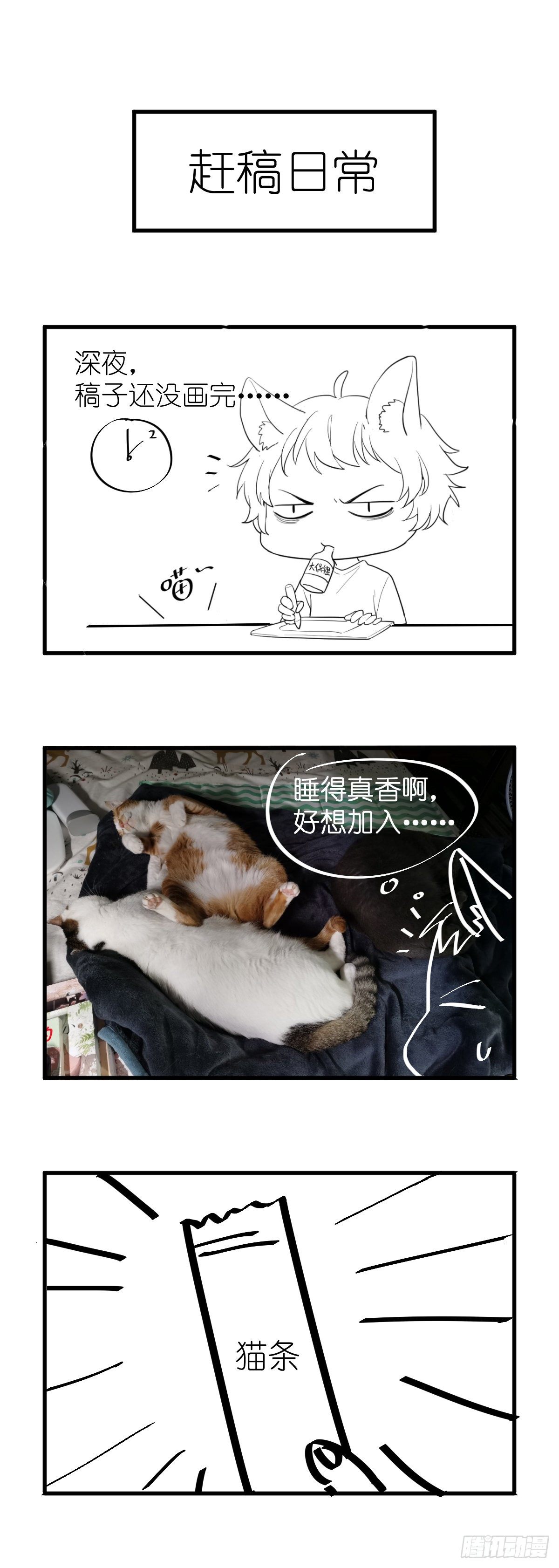骗子烂好人29