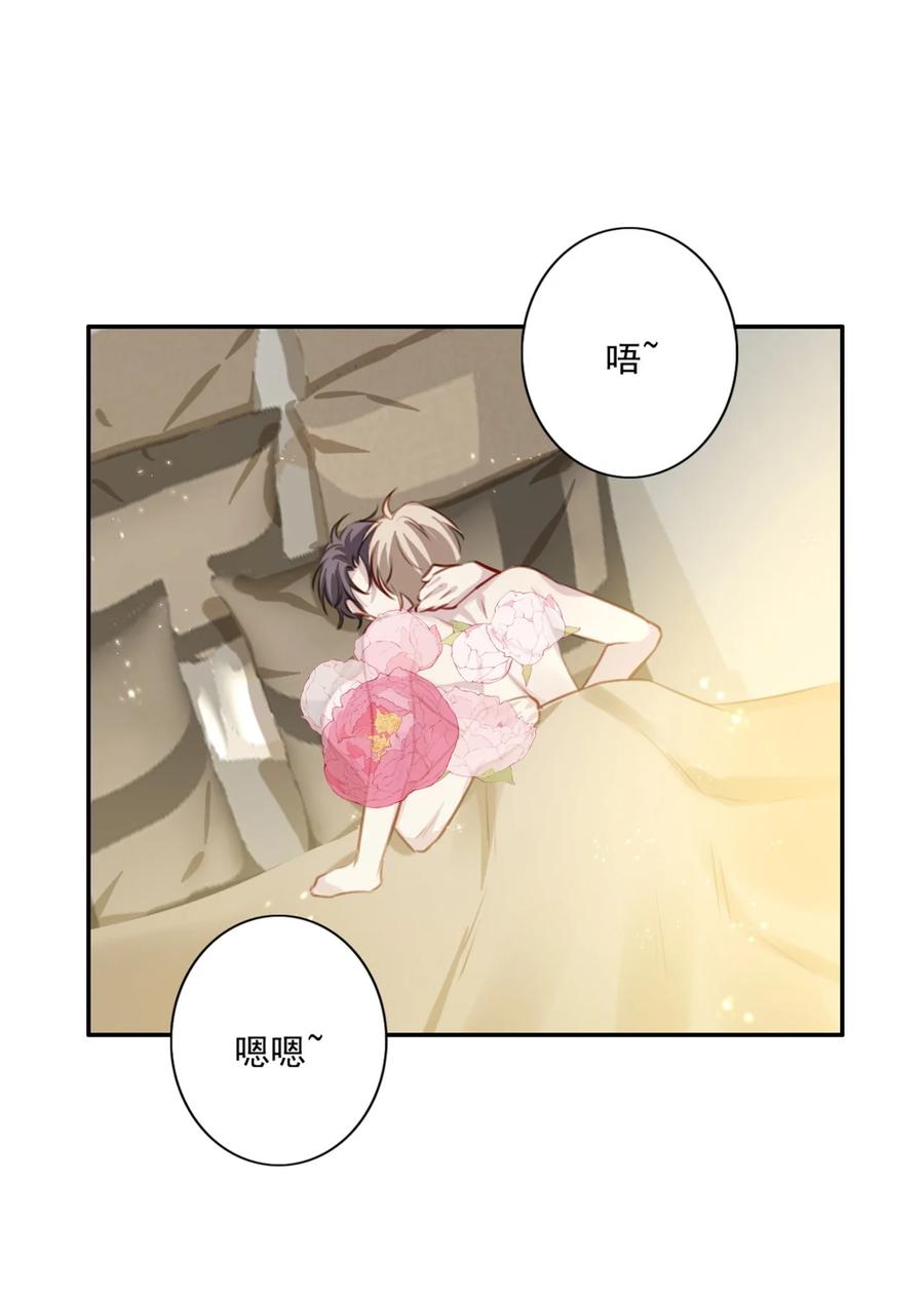 029 生日礼物17