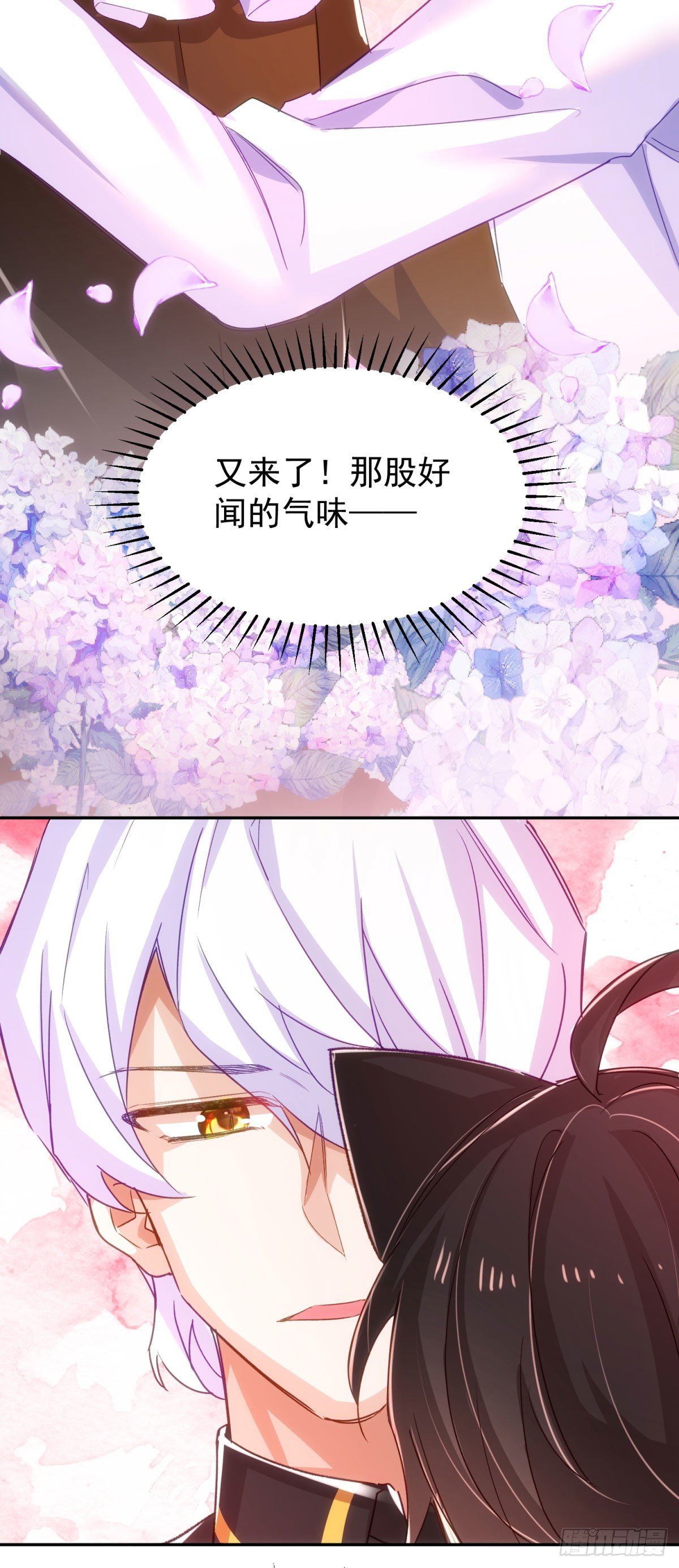 14-抚慰34