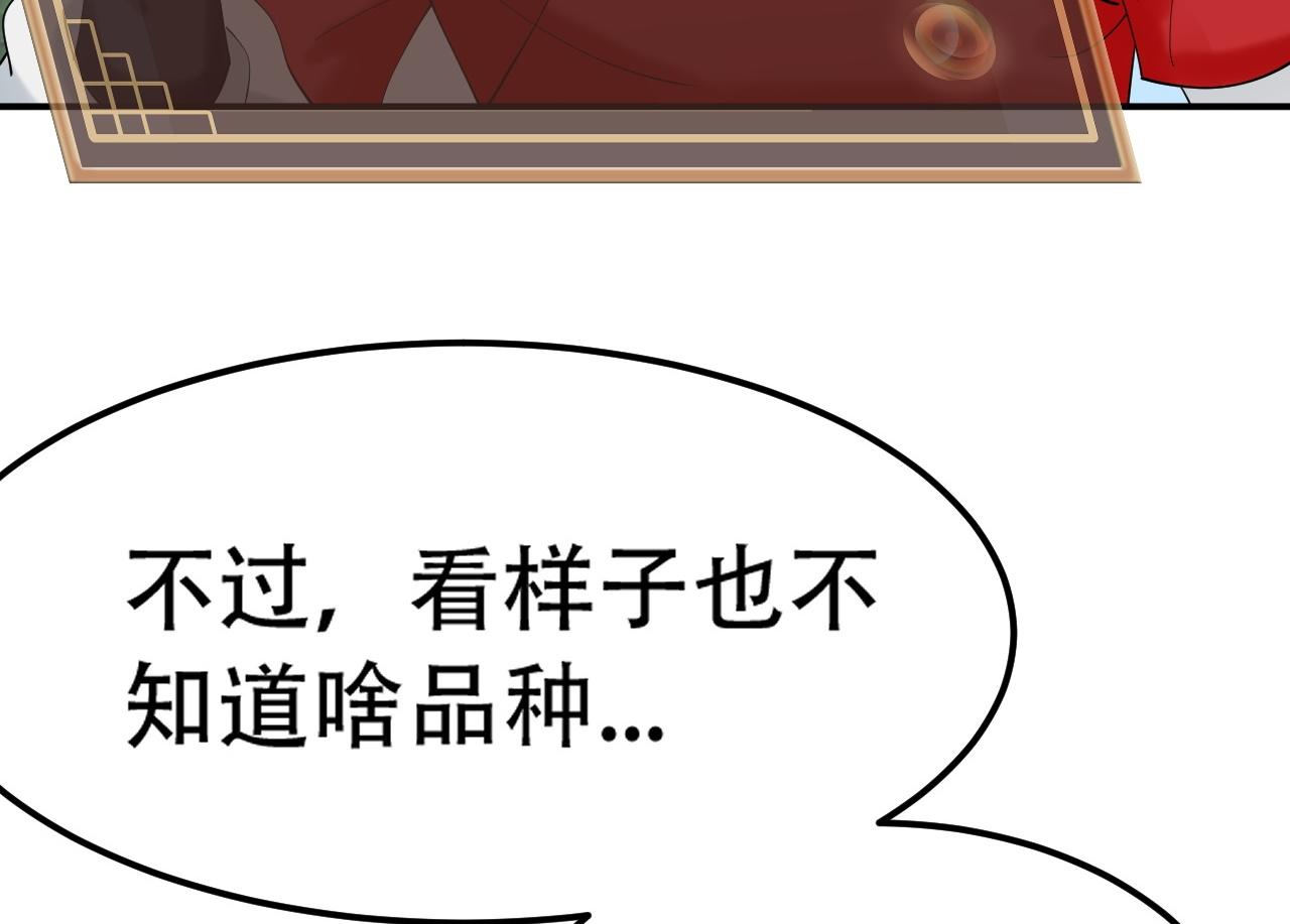 05 神宠猫女？！52