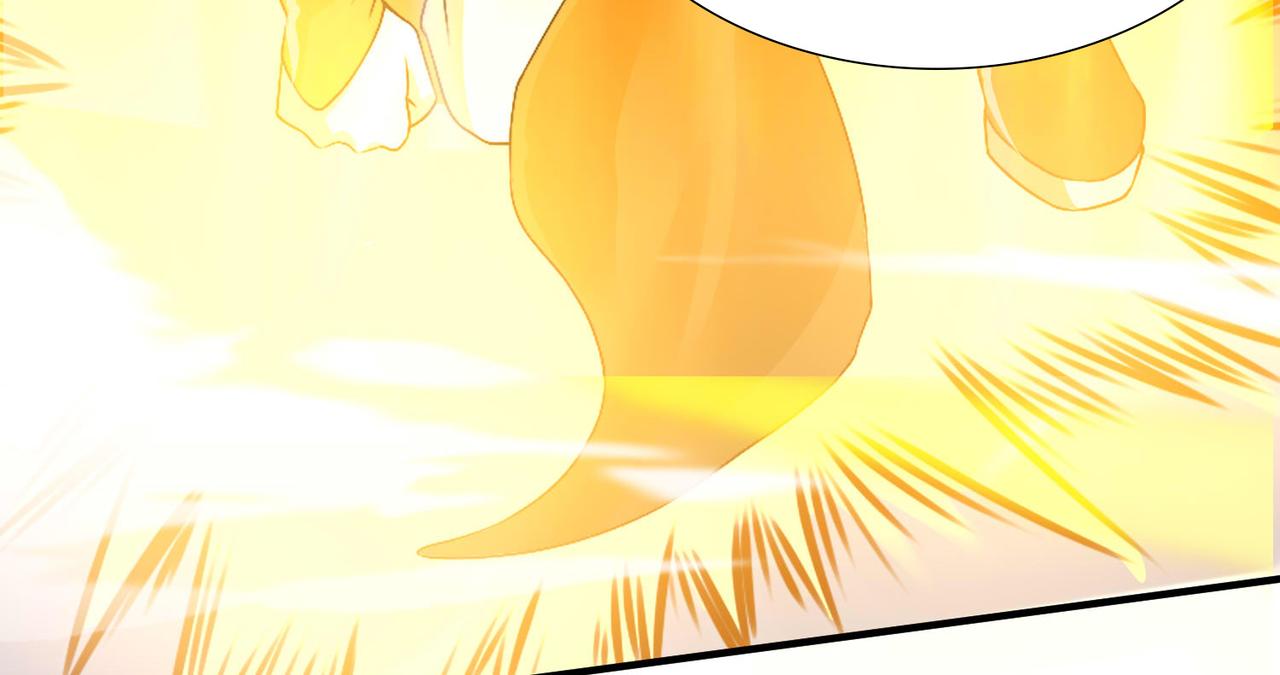 公告5