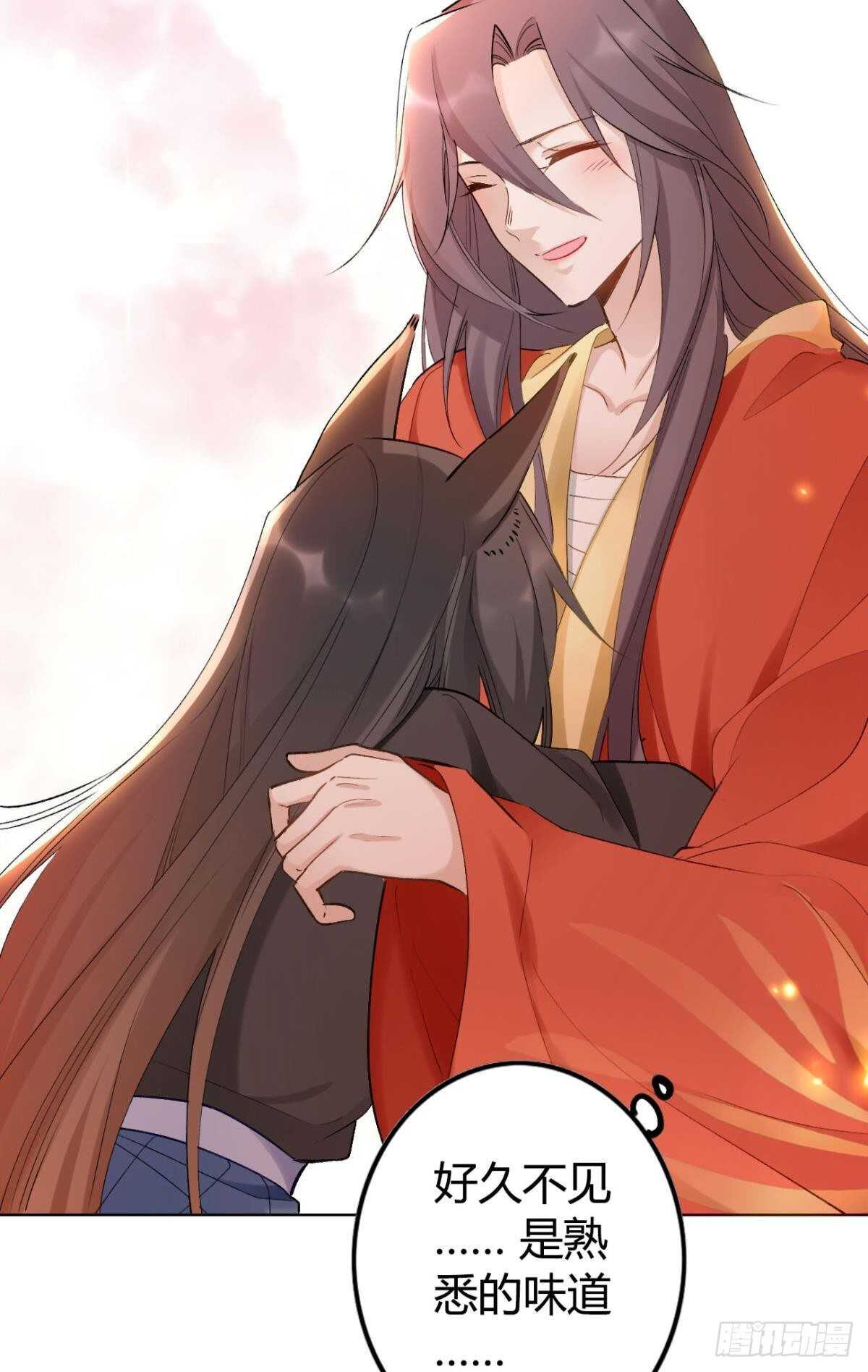 55 风之子3