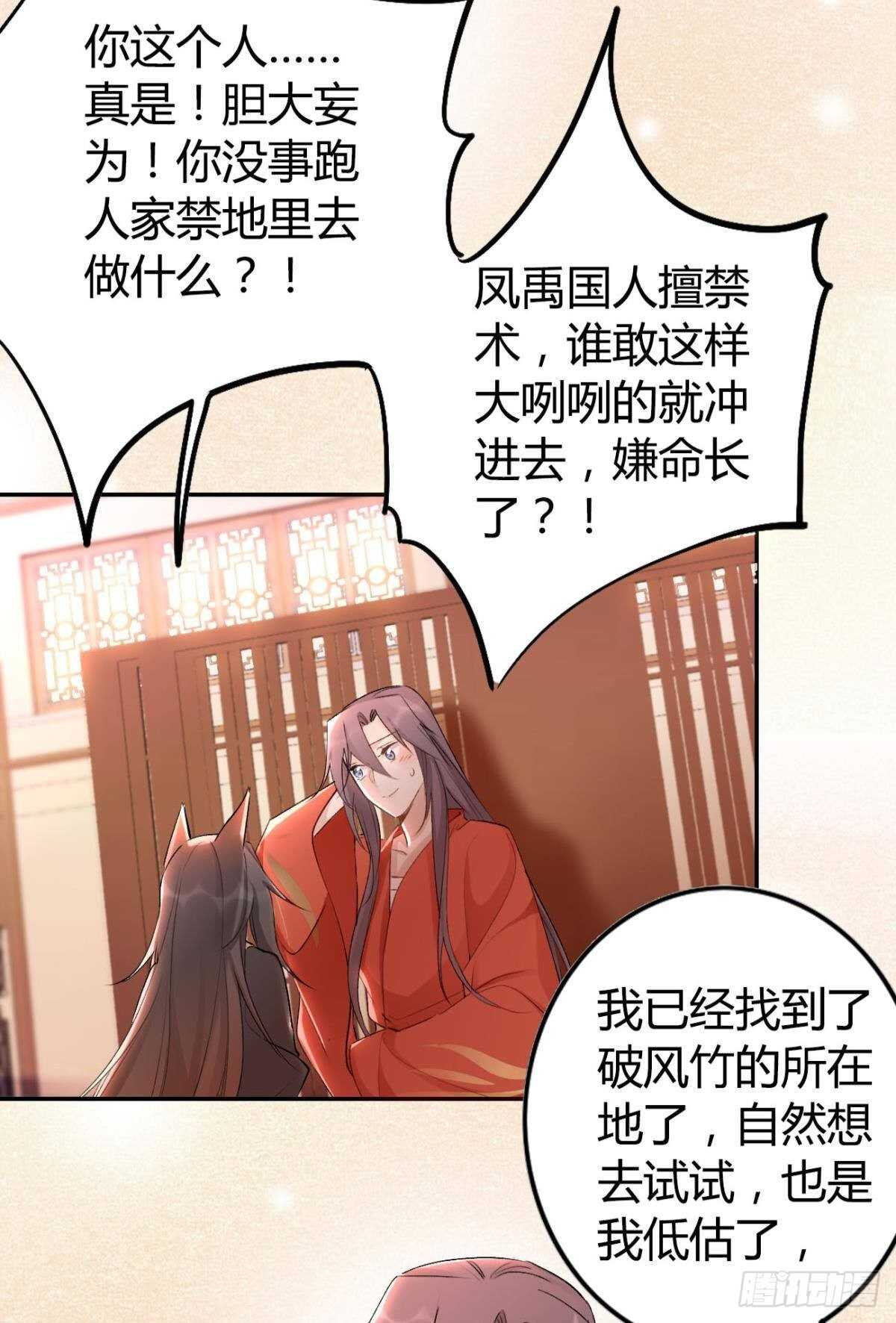 55 风之子11