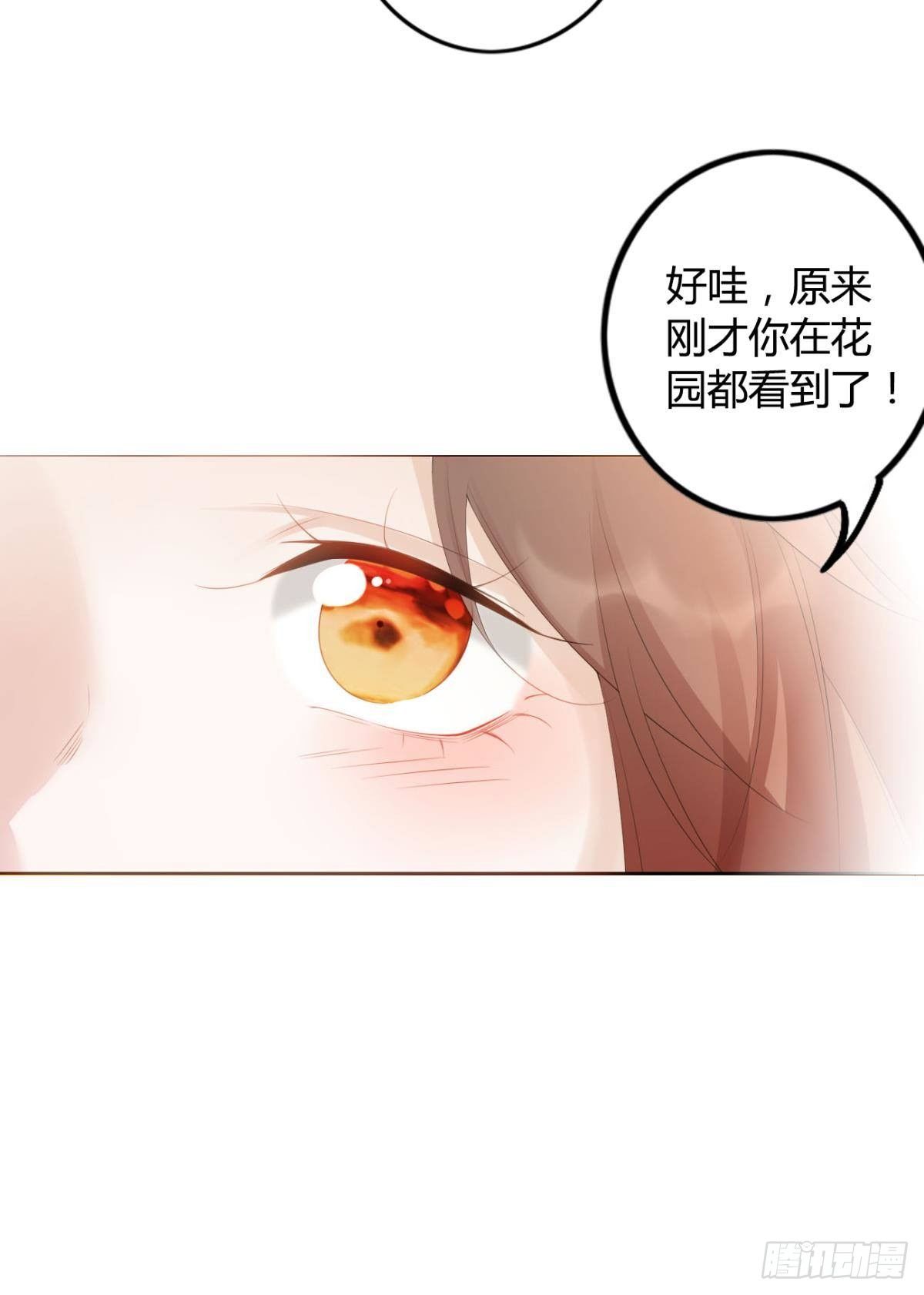 86 赠君凤凰䎆12