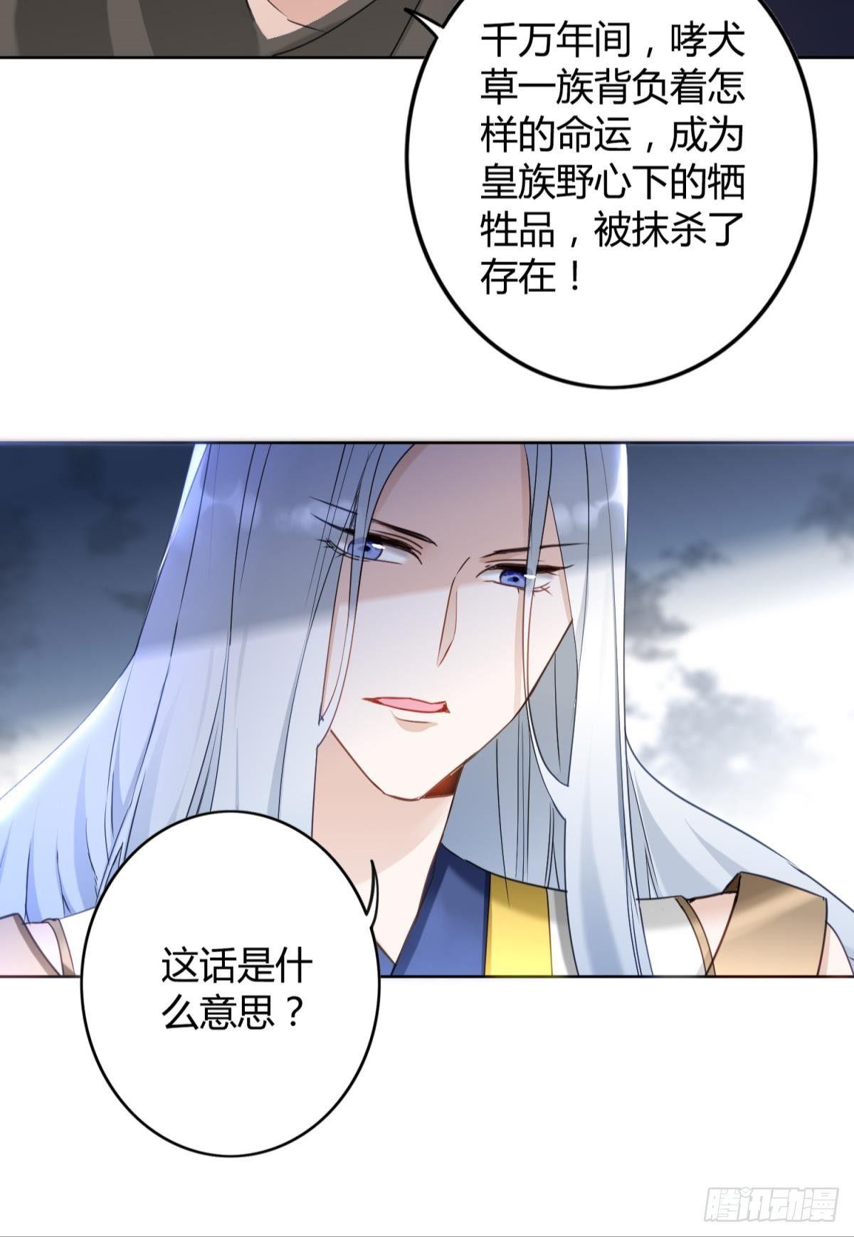 26 凤凰之子34