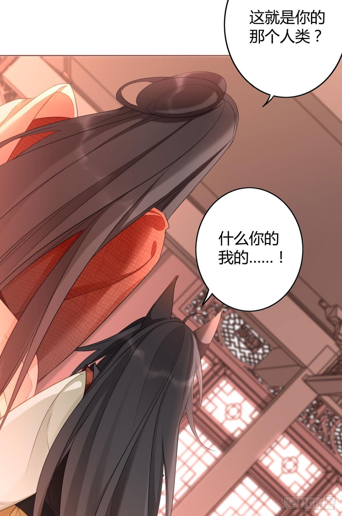 26 凤凰之子20