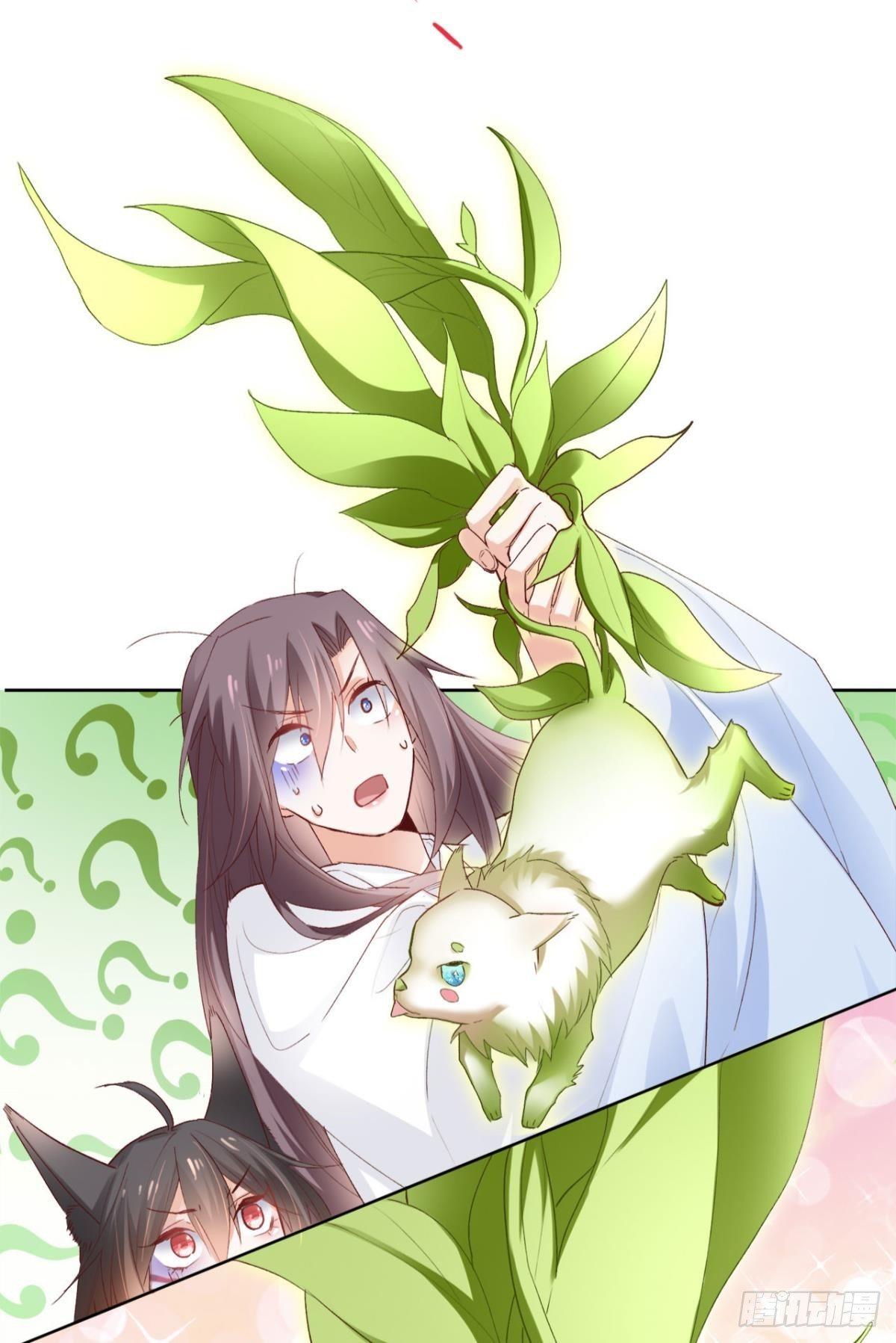 16 种草得……？41