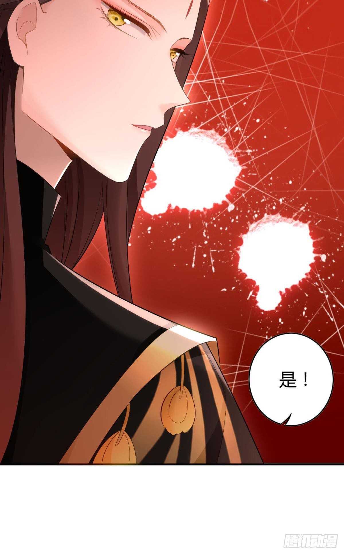 74  最后一夜12