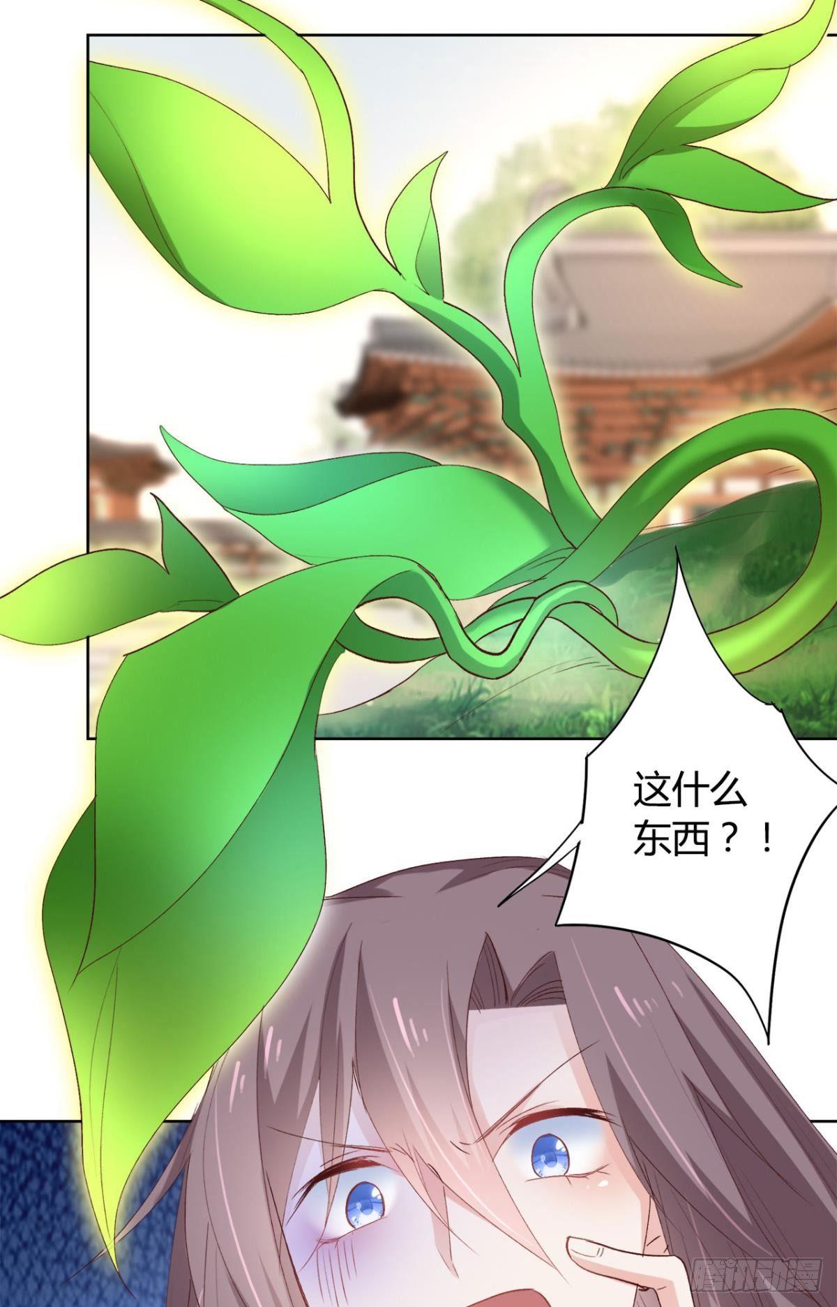 16 种草得……？31