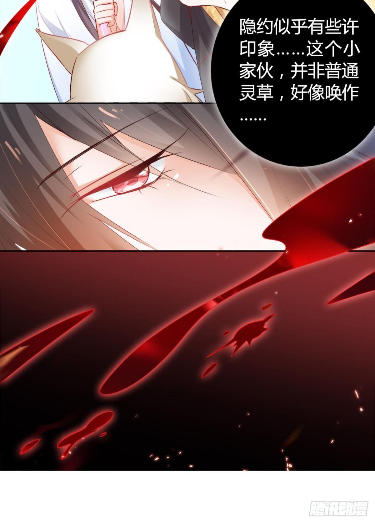 17 喜当娘24