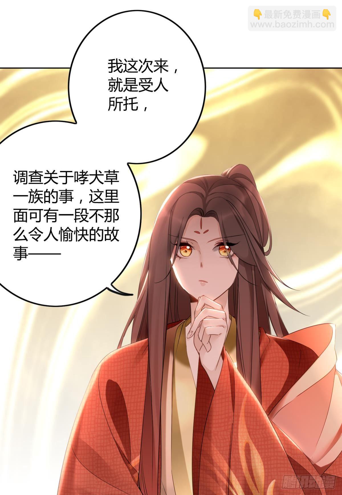 26 凤凰之子29