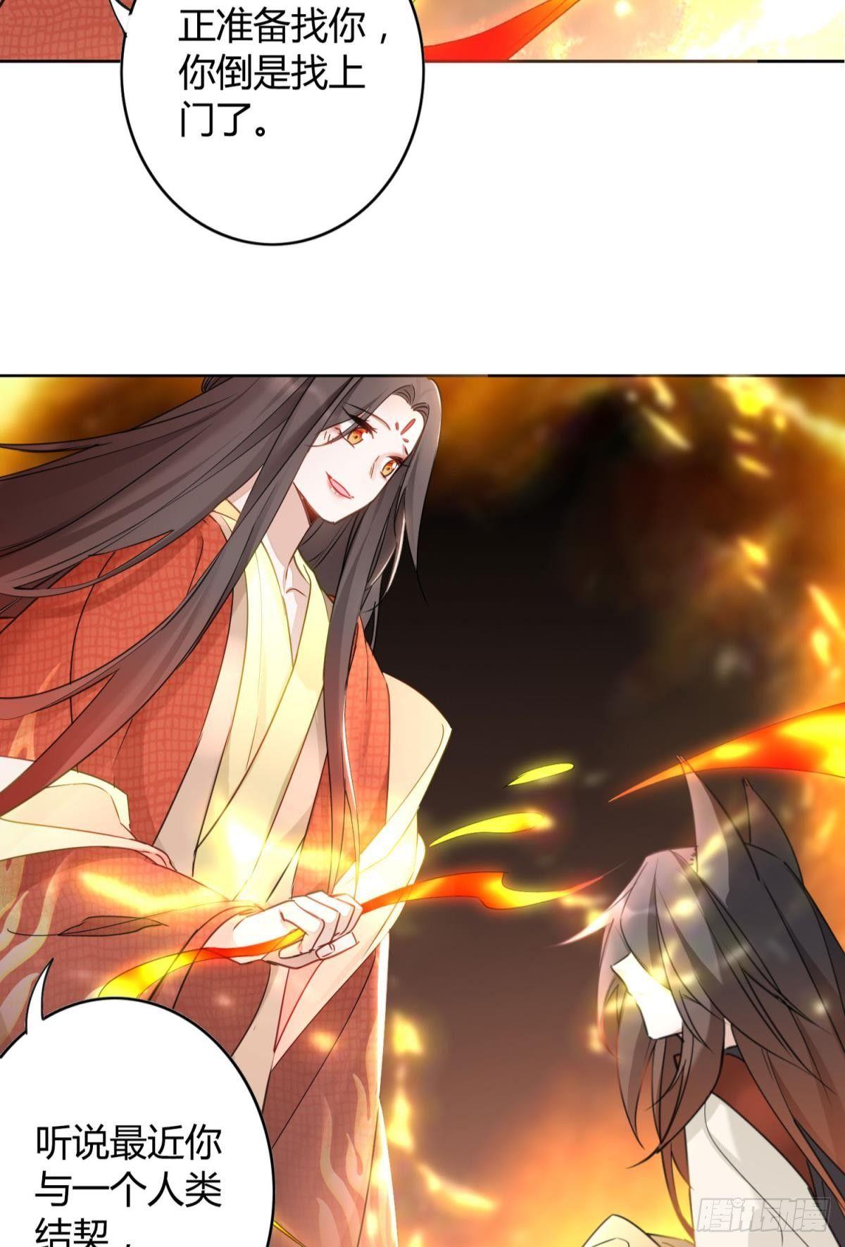 26 凤凰之子10