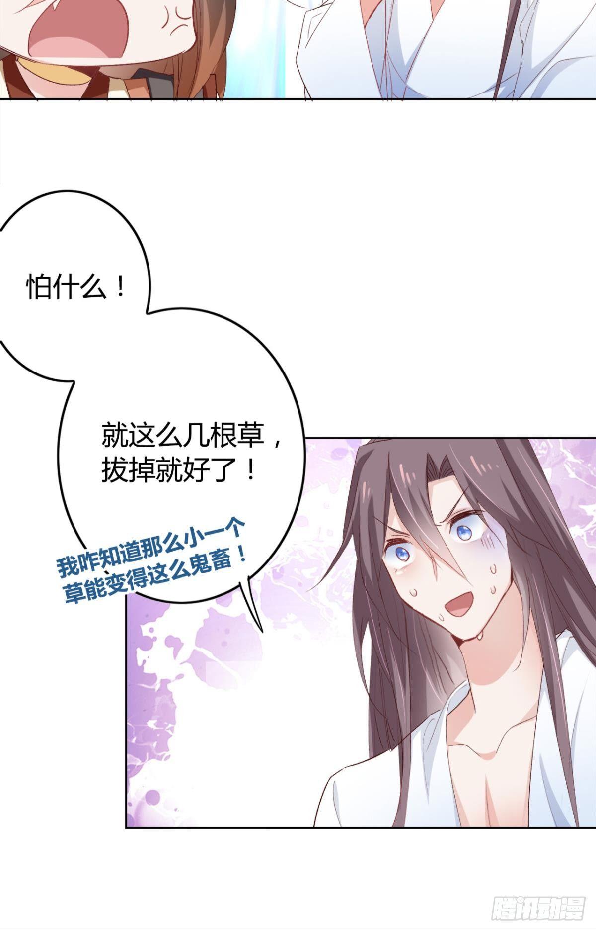 16 种草得……？34