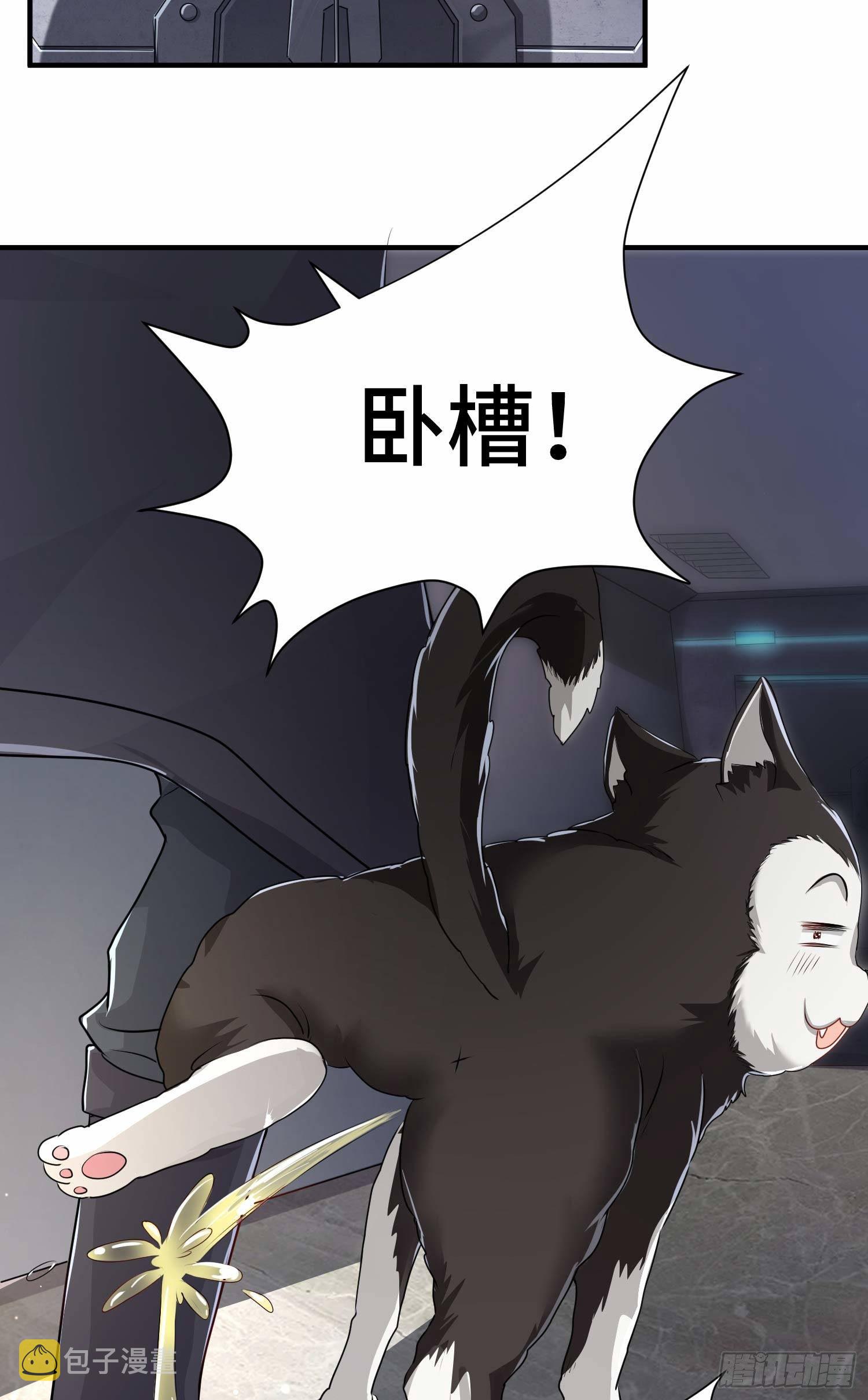 哈哥来把握5