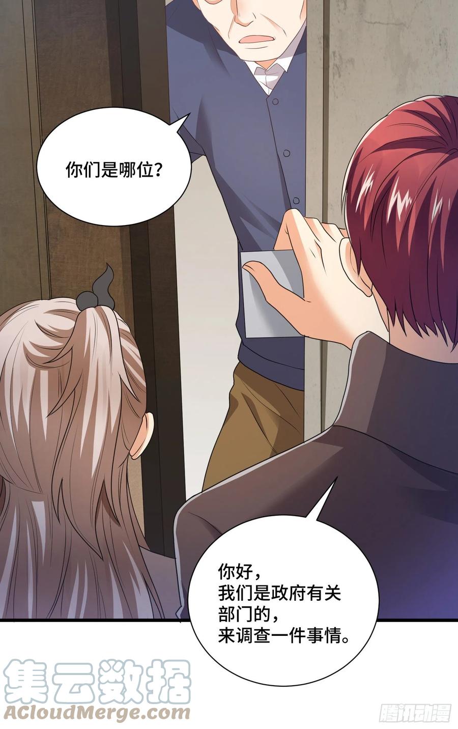 宠物铁蛋4