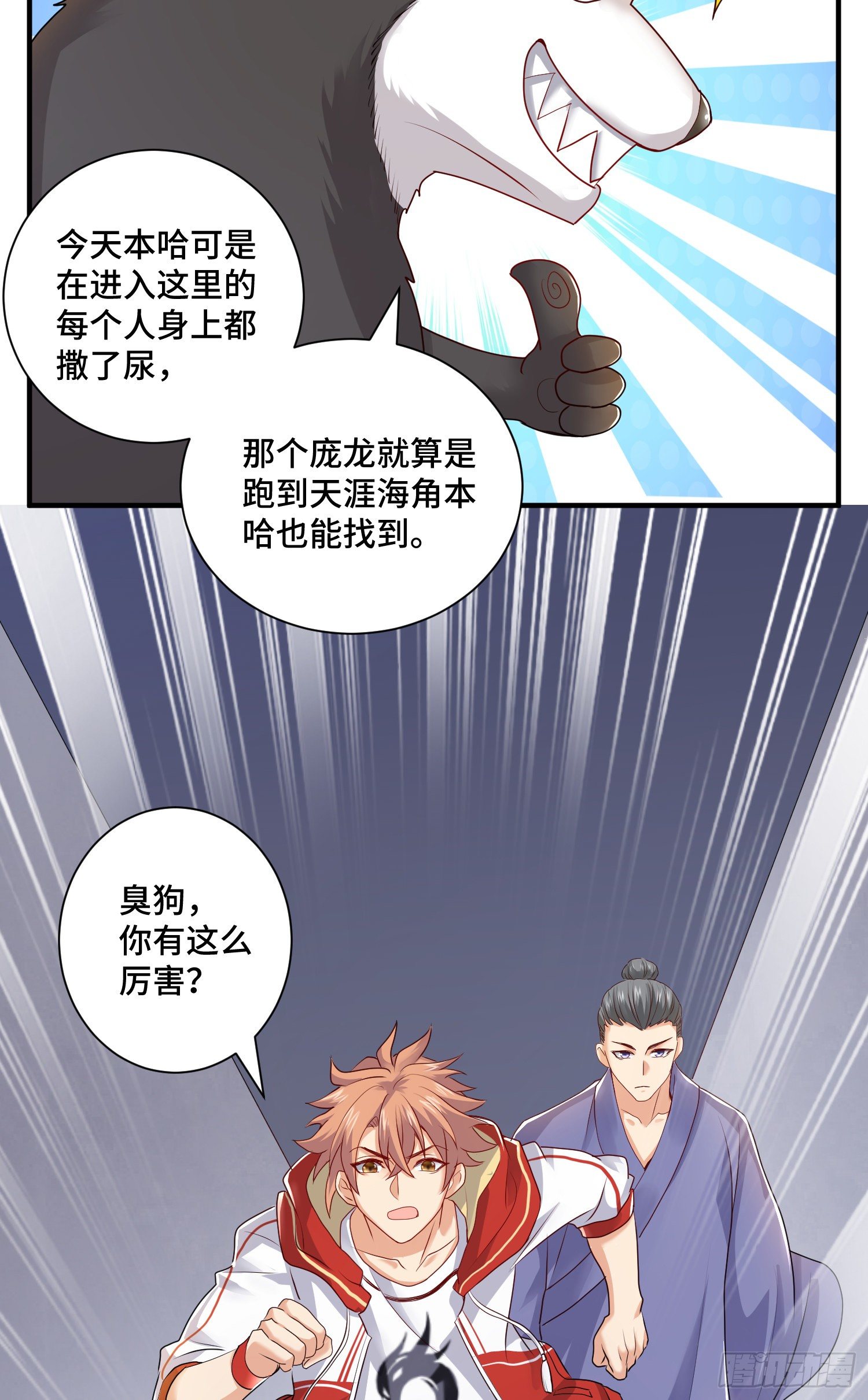 哈哥来把握31