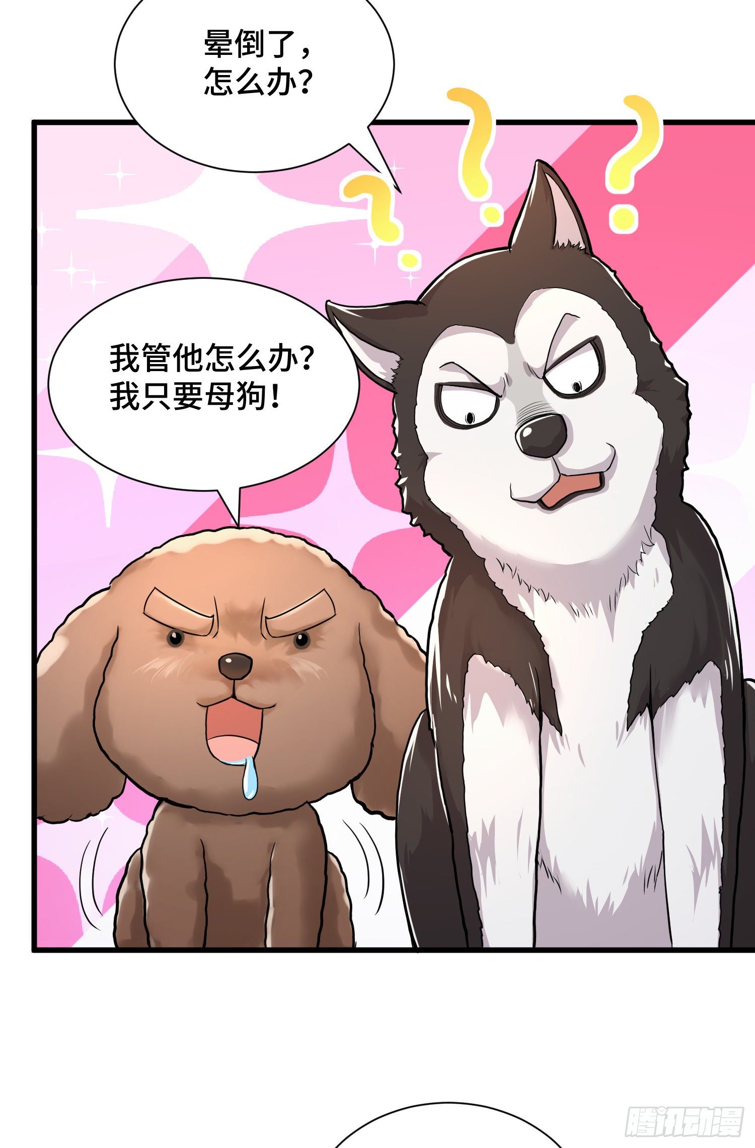 试试就逝世6