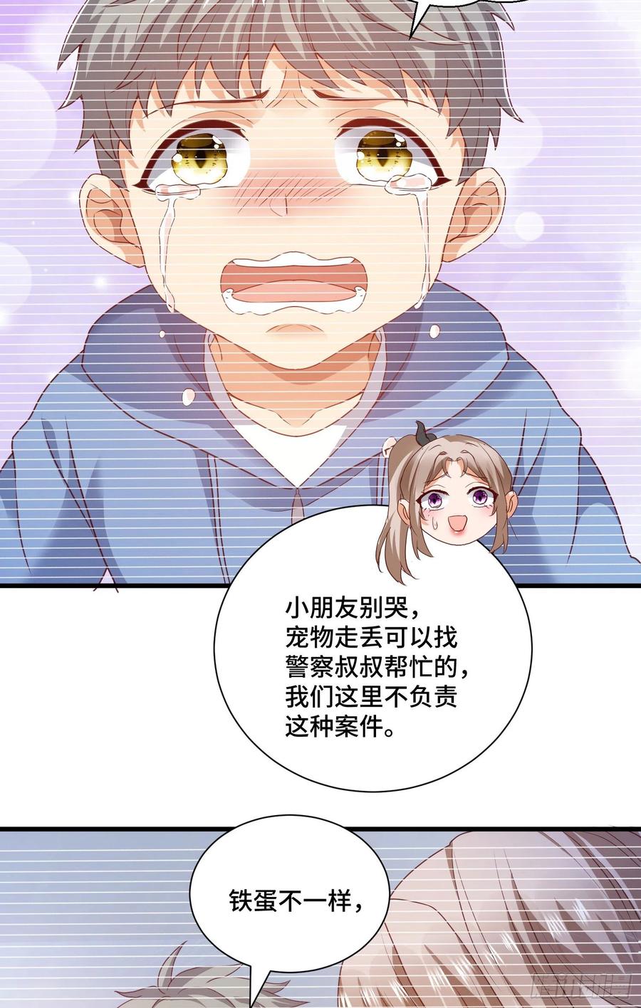 宠物铁蛋11