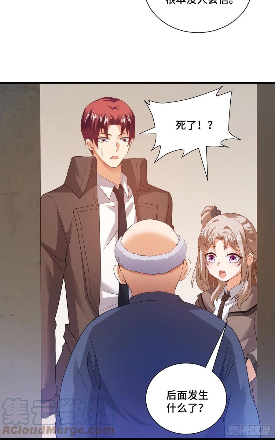 宠物铁蛋14