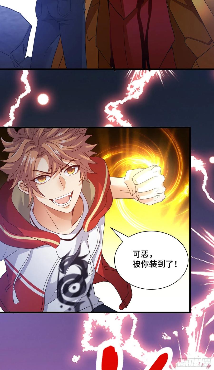 宠物铁蛋31